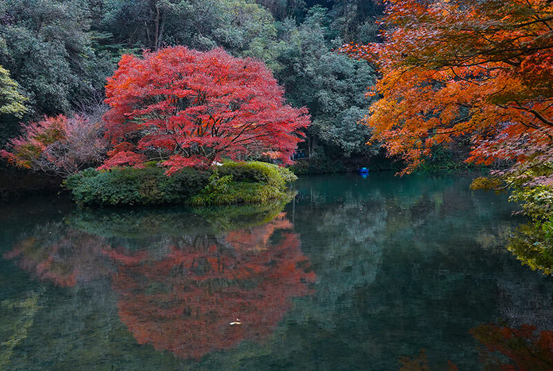 UN honors Hangzhou for advancing sustainable waste management