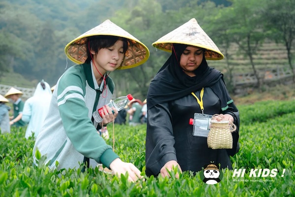 Chinese, British students explore tea culture in Hangzhou
