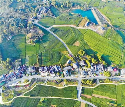 Artists bring new life to Hangzhou's village